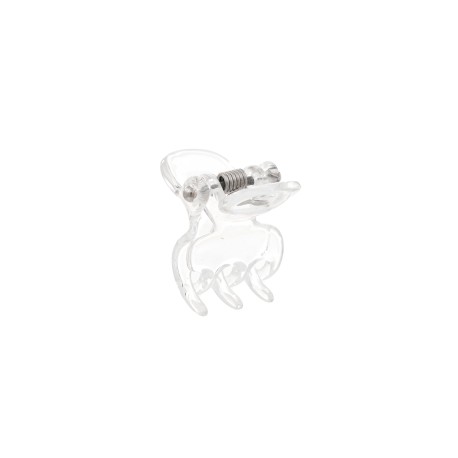 Prendedor Bianca Accessory Mini Transparente