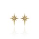 Brinco Claudia Abex Star Harley Cristal Ouro Vintage