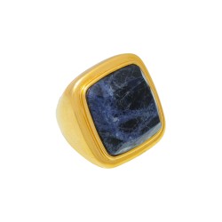Anel Fane's Pedra Natural Sodalita Marinho Metal Dourado