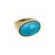 Anel Fane's Pedra Natural Howlita Turquesa Metal Dourado