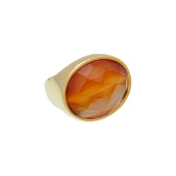 Anel Fane's Pedra Natural Cornalina Metal Dourado