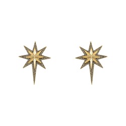 Brinco Nino Bran Acessórios Star Cristais Ouro Vintage
