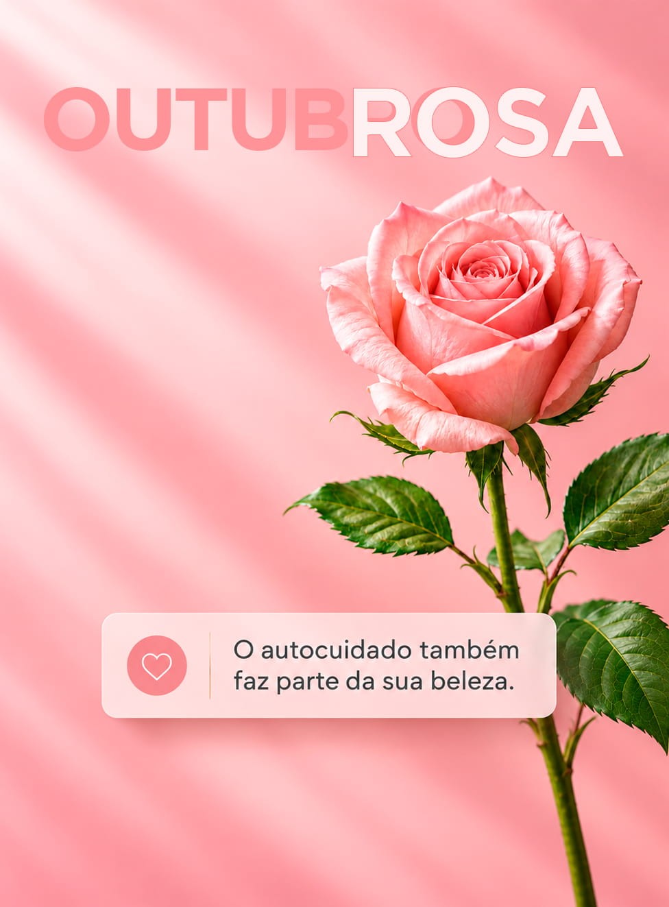 Outubro Rosa